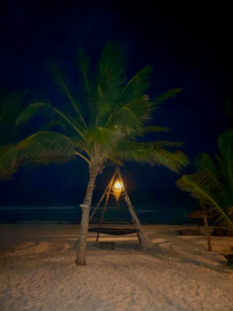 A lantern and palm tree at night on the beach at Nomade Resort is a spiritual experience in Tulum. 